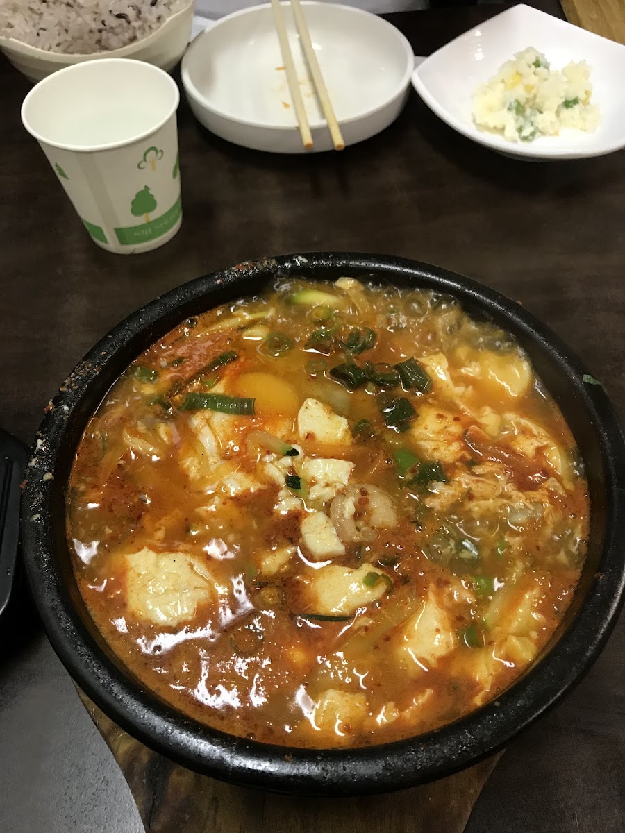 Dumpling Soup